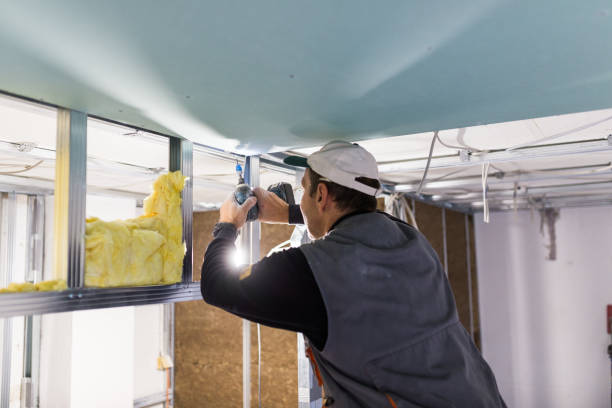 Best Residential Insulation in Hicksville, OH